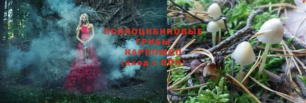 винт Белоозёрский